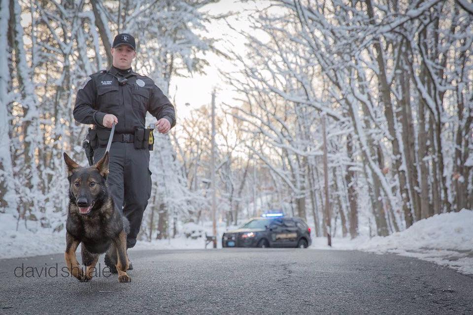 Police K9